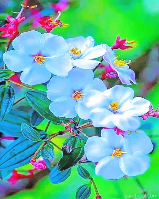 White Orchids Painting By Numbers Kits