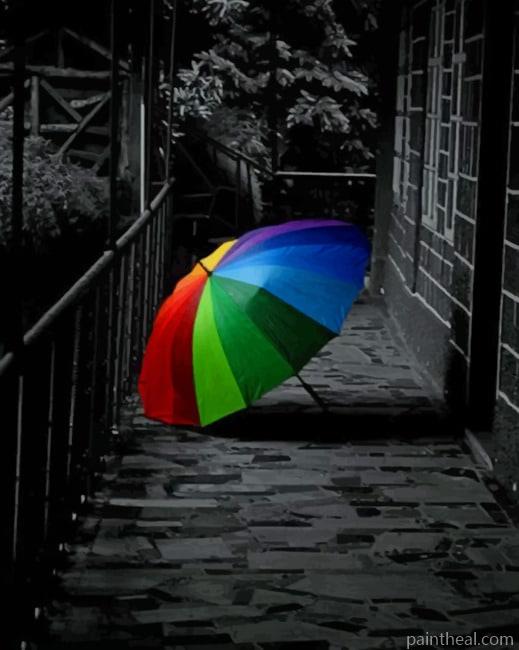Black And White Colorful Umbrella NEW Painting By Numbers Kits