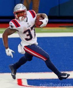 Patriots New England Painting By Numbers Kits