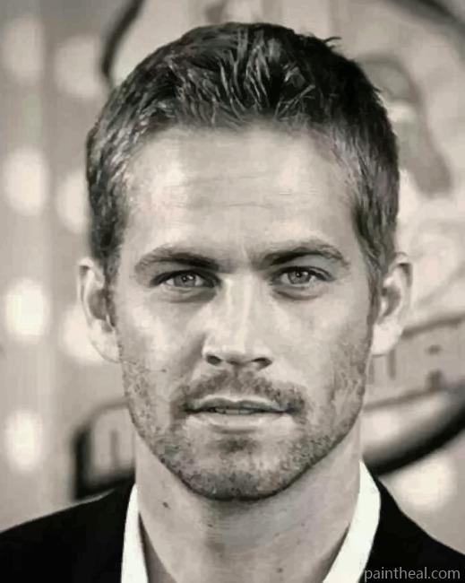 Paul Walker Black and White Painting By Numbers Kits