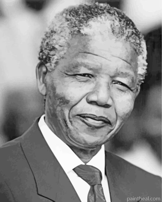 Black and White Nelson Mandela Painting By Numbers Kits