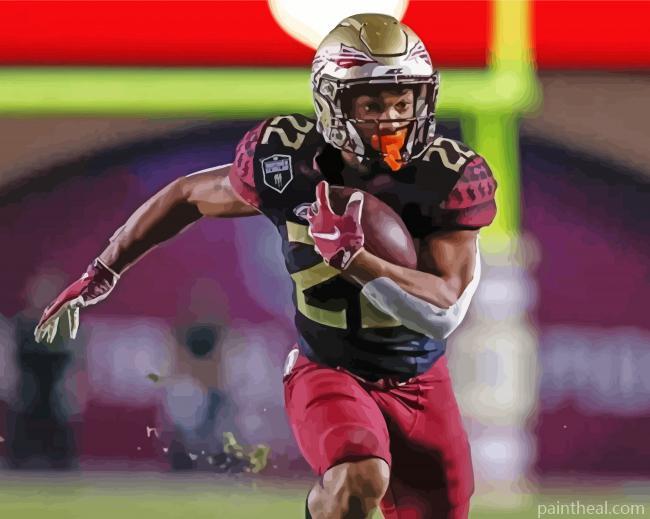 FSU American Football Player Painting By Numbers Kits