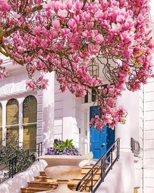 Aesthetic House Cherry Blossom Painting By Numbers Kits
