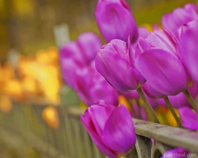 Purple Tulips Blooms Painting By Numbers Kits