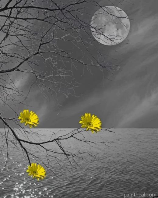 Black And White Yellow Aesthetic View NEW Painting By Numbers Kits