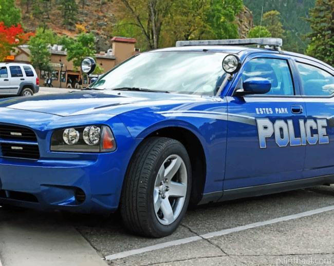 Police Car Painting By Numbers Kits