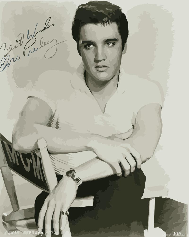 Young Elvis Presley People Painting By Numbers Kits