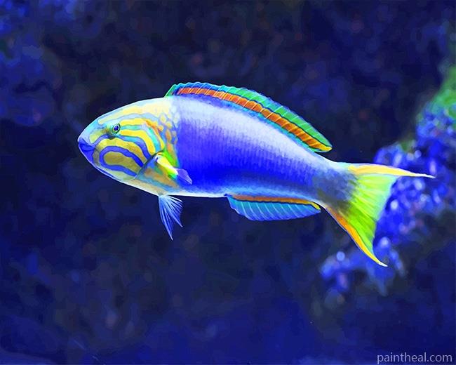 Tropical Blue Fish NEW Painting By Numbers Kits