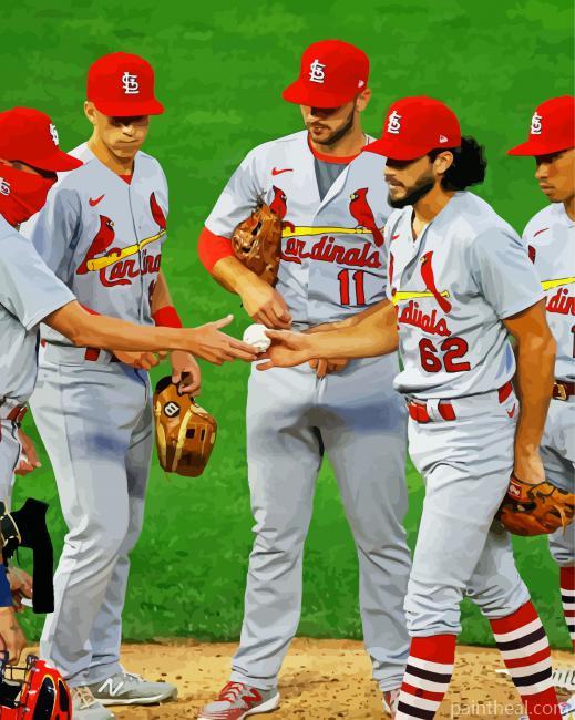 Baseball St Louis Cardinals Painting By Numbers Kits