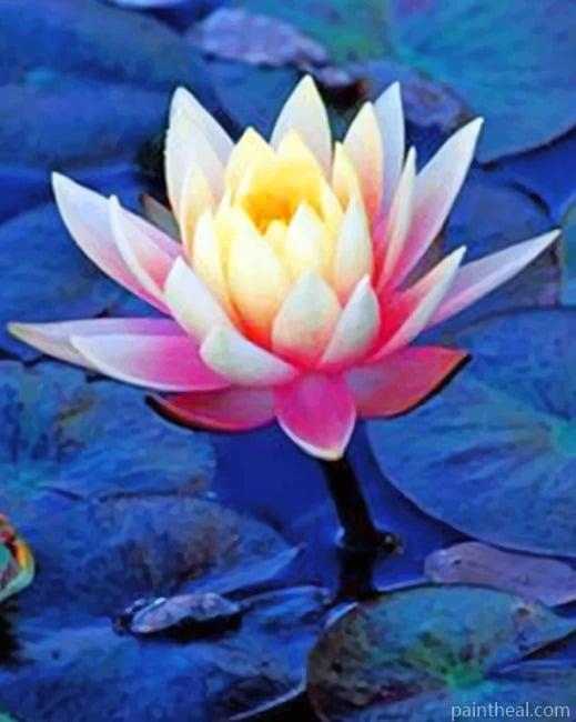 Aesthetic Lotus Lotus Painting By Numbers Kits