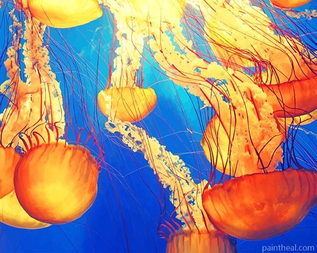 Jellyfish Illustration NEW Painting By Numbers Kits