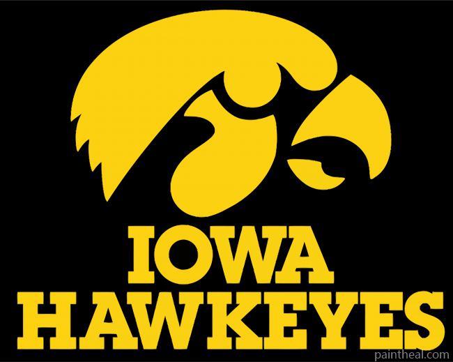 Hawkeyes Illustration Painting By Numbers Kits