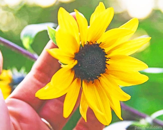 Sunflower In Hand Painting By Numbers Kits