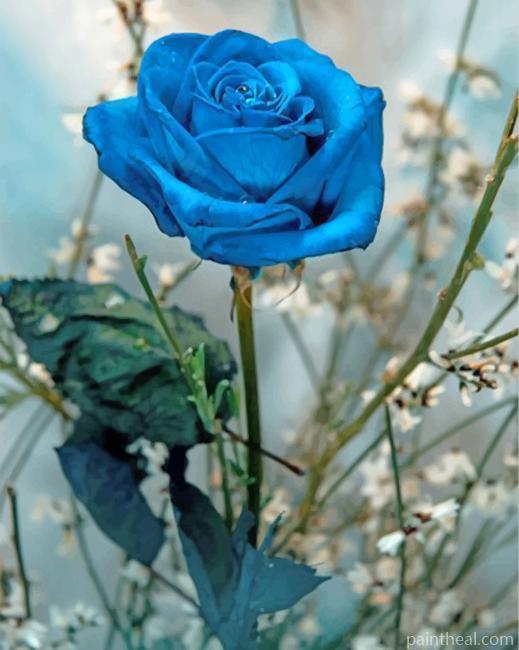 Lone Blue Rose Painting By Numbers Kits
