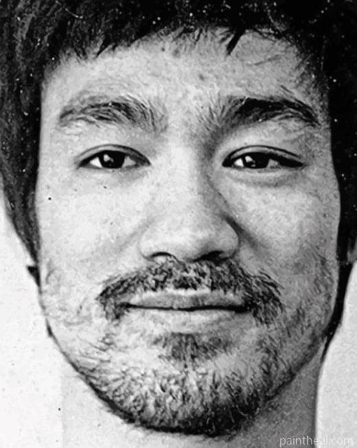 Bruce Lee Painting By Numbers Kits