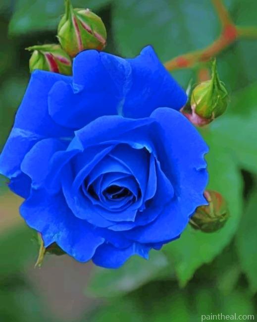 Lonely Blue Rose Painting By Numbers Kits