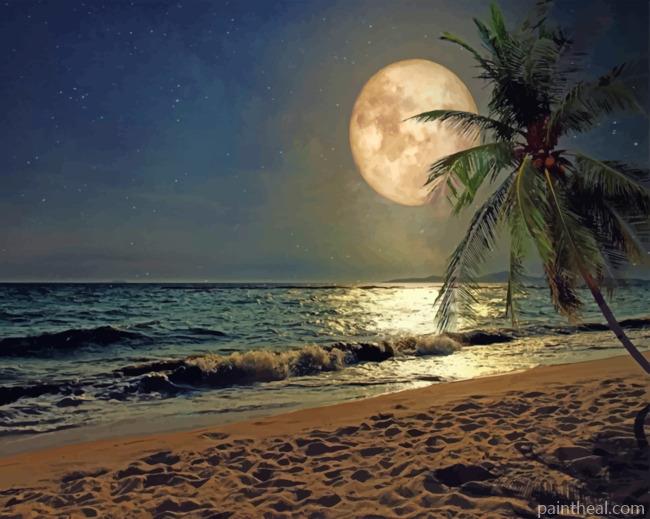 Beach Moonlight Painting By Numbers Kits
