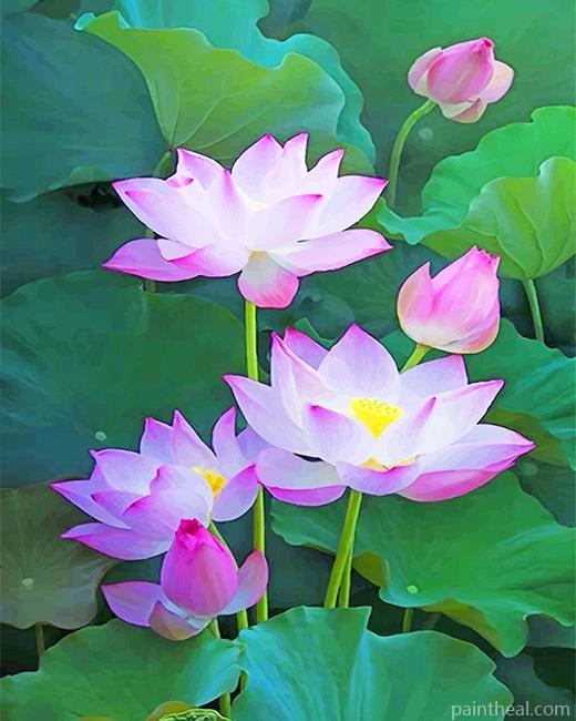 Pink Sacred Lotus Painting By Numbers Kits