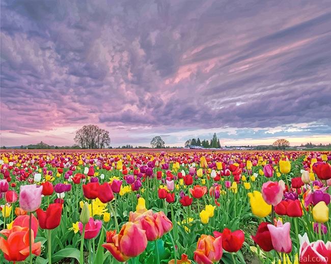 Spring Field Tulip Flowers Painting By Numbers Kits