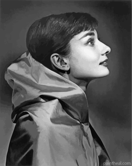 Audrey Hepburn Monochrome Painting By Numbers Kits