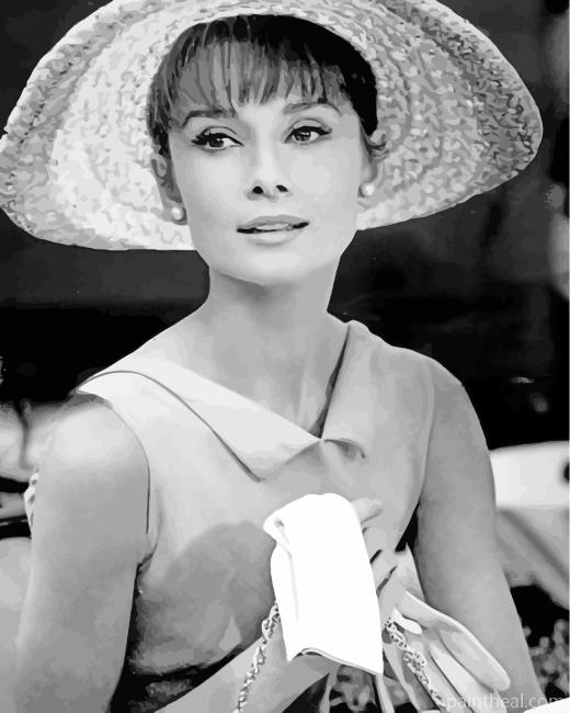 Audrey Hepburn Black And White Painting By Numbers Kits