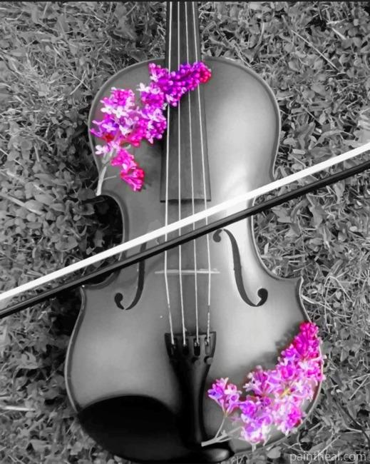 Black And White Violin Painting By Numbers Kits