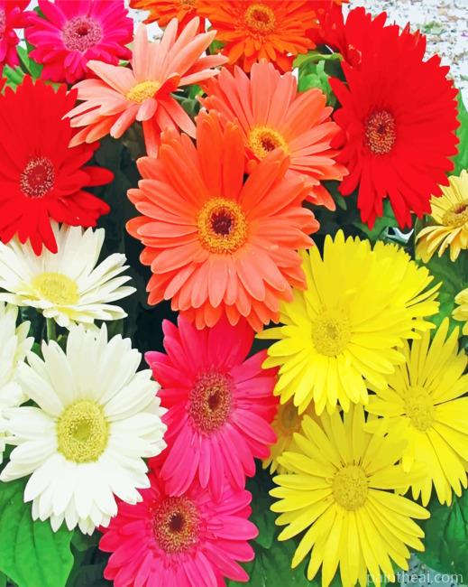 Colorful Gerbera Daisies Painting By Numbers Kits