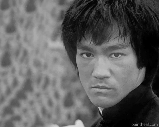 Bruce Lee Kung Fu Master Painting By Numbers Kits