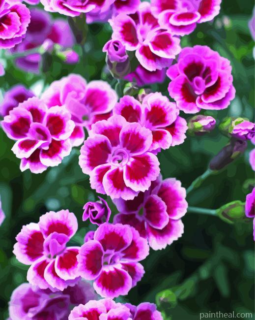 Aesthetic Carnations Painting By Numbers Kits