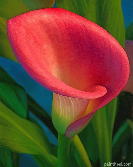 Pink Calla Lily Painting By Numbers Kits