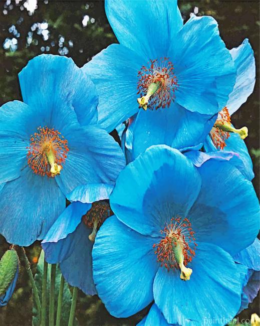 Blue Poppies Painting By Numbers Kits