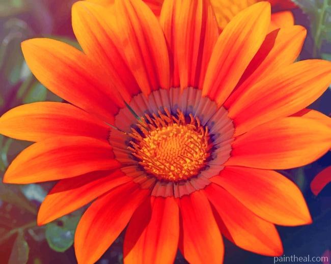 Orange Spring Sunflower Painting By Numbers Kits
