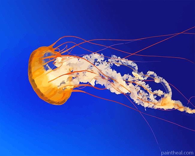 Orange Jellyfish Painting By Numbers Kits
