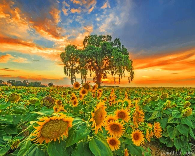 Common Sunflowers Field Painting By Numbers Kits