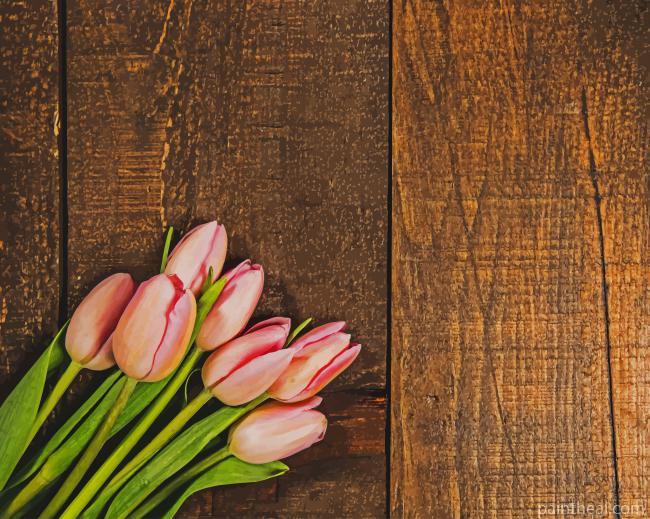 Pink Tulips On Wood Texture Painting By Numbers Kits