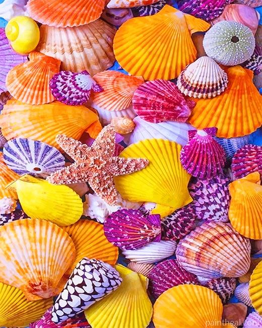 Seashells Painting By Numbers Kits
