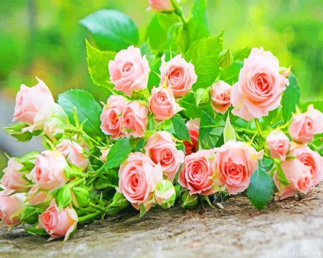 Pink Roses Garden Painting By Numbers Kits