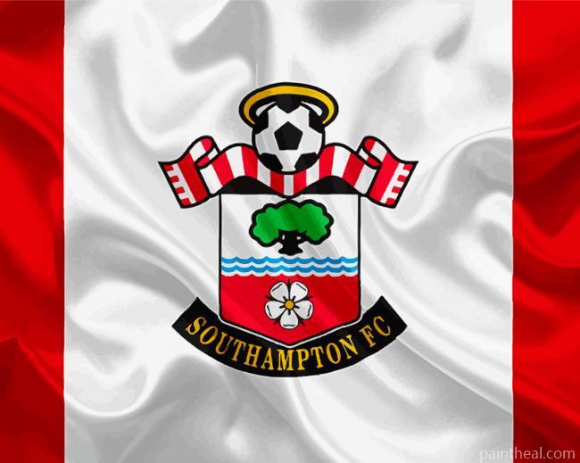 Southampton Football Club Painting By Numbers Kits
