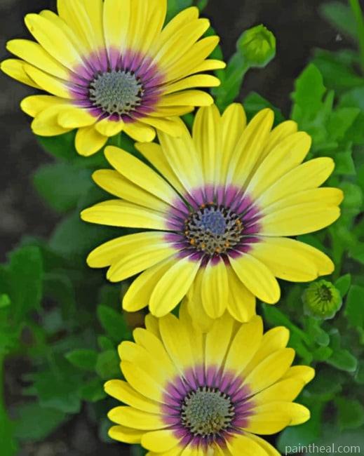 Purple and Yellow Daisies Painting By Numbers Kits