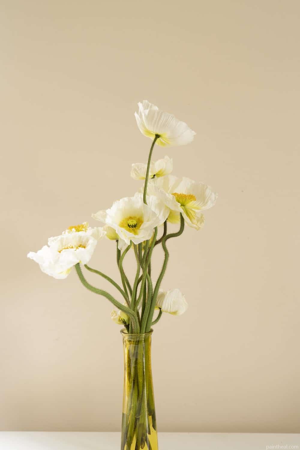 Vanilla Flowers Painting By Numbers Kits