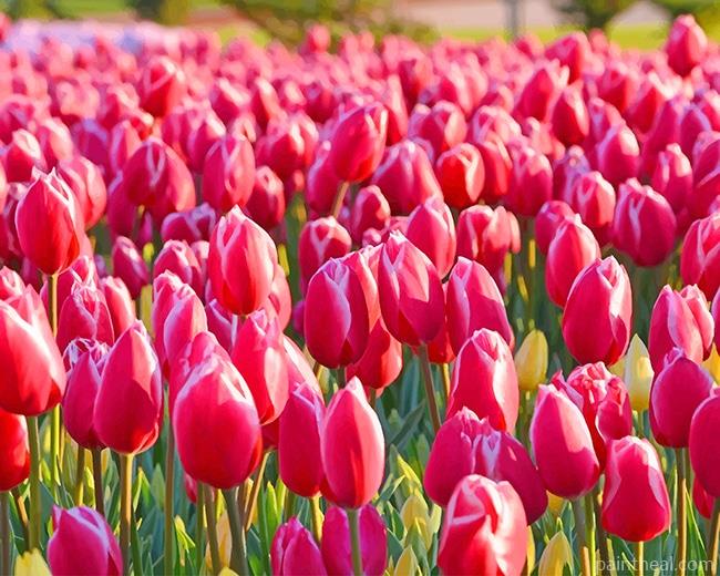 Garden Pink Tulips Painting By Numbers Kits