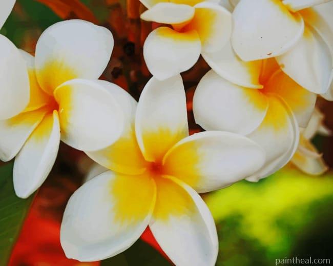 White And Yellow Flowers Painting By Numbers Kits