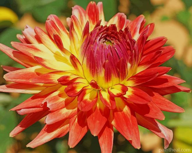 Dahlia Flower Painting By Numbers Kits