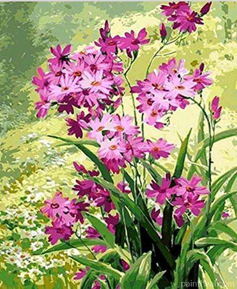 Purple Daisies Flowers Painting By Numbers Kits