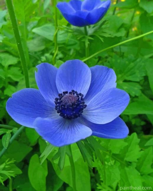 Blue Anemone Flower Painting By Numbers Kits