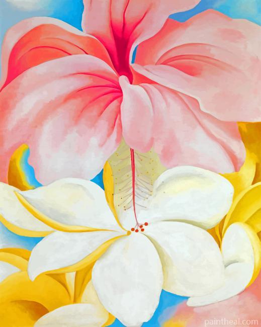 Nybg Georgia O Keeffe Hibiscus Painting By Numbers Kits