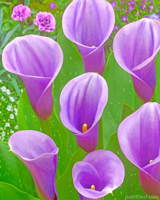Purple Arum Lilies Painting By Numbers Kits