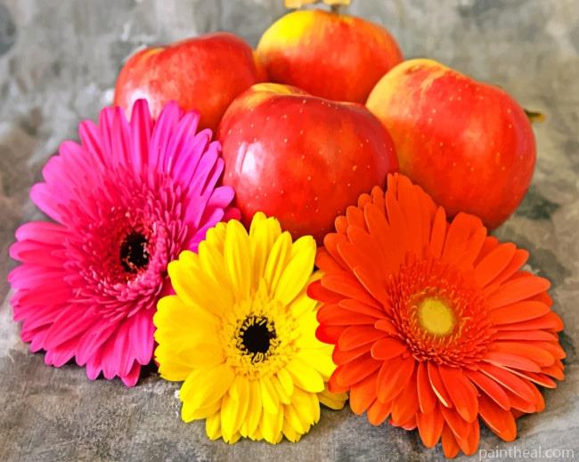 Colorful Flowers And Red Apples Painting By Numbers Kits