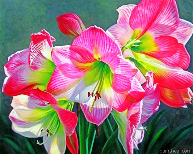 Waratahs Native Australian Flower Painting By Numbers Kits