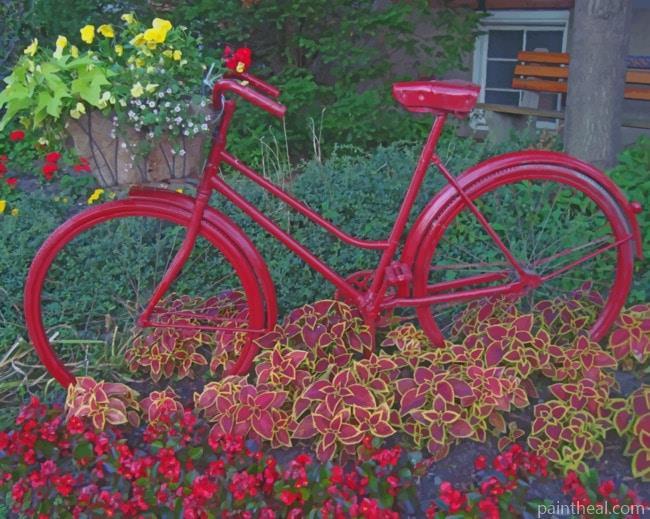 Red Bicycle And Flowers Painting By Numbers Kits